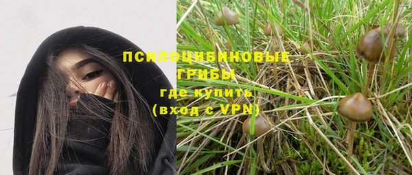 ГАЛЛЮЦИНОГЕННЫЕ ГРИБЫ Армянск