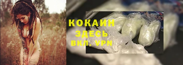 ГАЛЛЮЦИНОГЕННЫЕ ГРИБЫ Армянск